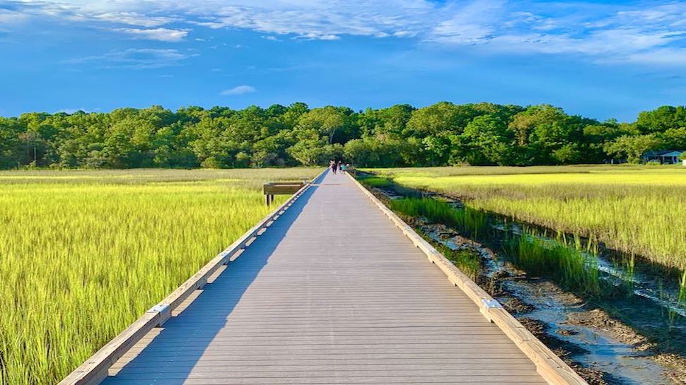 walkway on the river and marsh in Johns Island