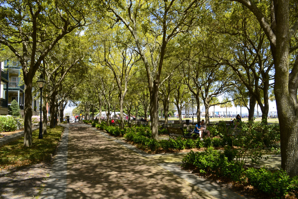 Battery Park in Downtown Charleston