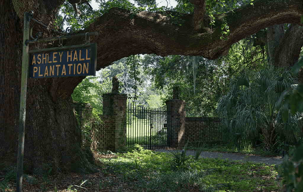 ashley hall plantation sign