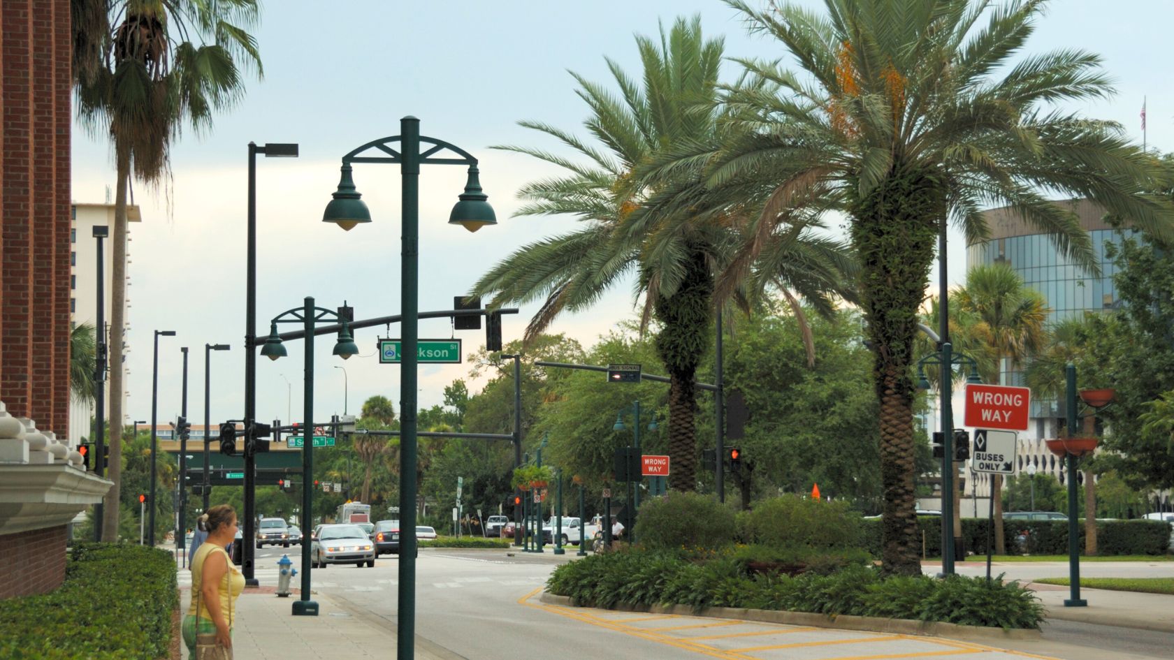 downtown orlando street lamps and palm tree view