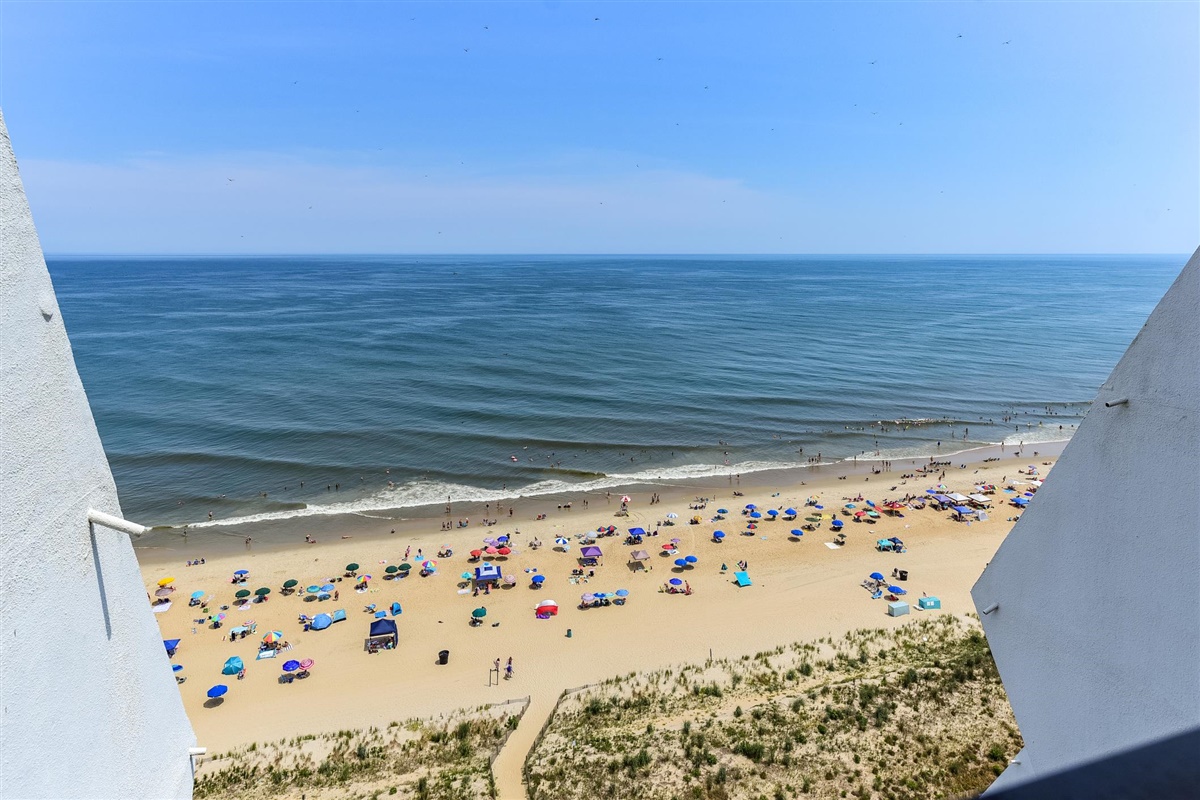 9500 Coastal Hwy #19G 