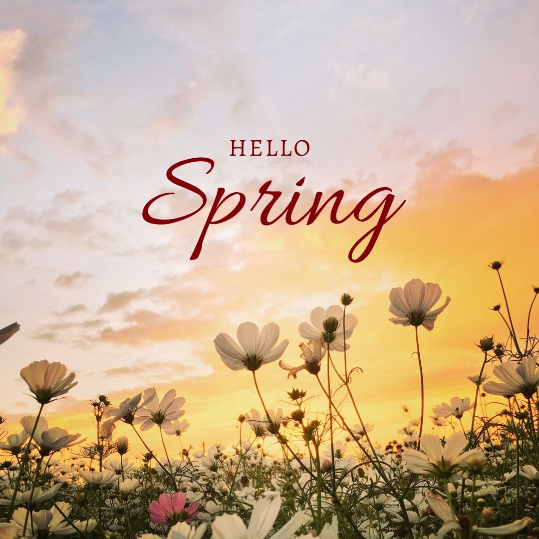 Hello Spring Natural Instagram Post 