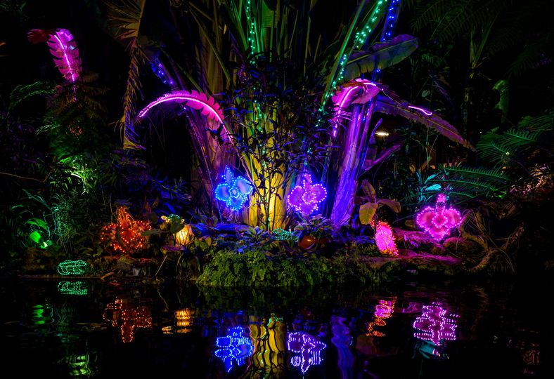 Lights in Bloom at Selby Gardens