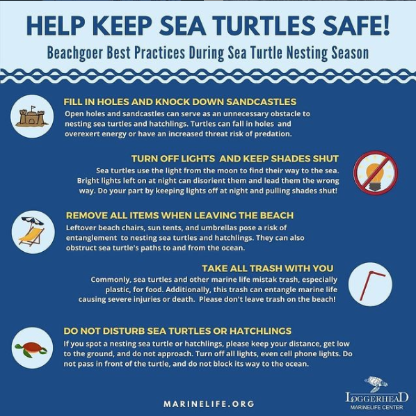 Sea Turtle Nesting Season Reminder