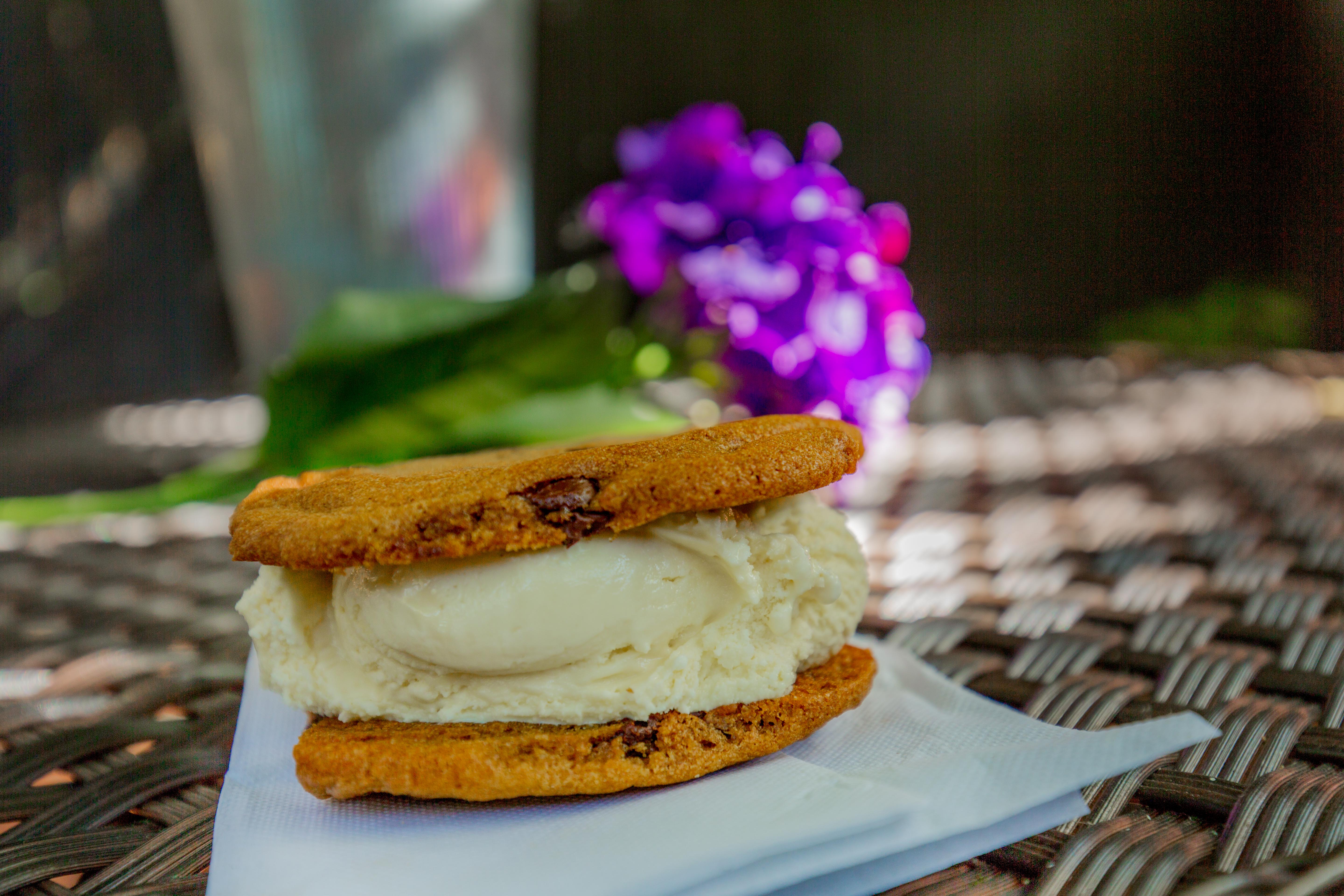 Yummy Ice Cream Sandwhich