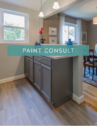 Paint Consult