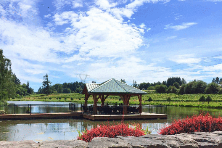 Bethany Vineyard Floating Patio Dock