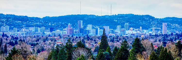 Mt Tabor View to Downtown Portland