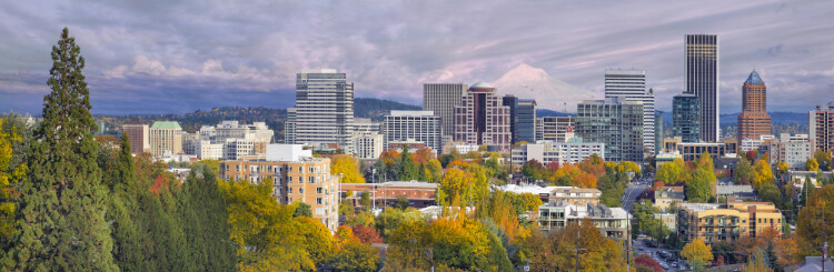 Portland OR Skyline