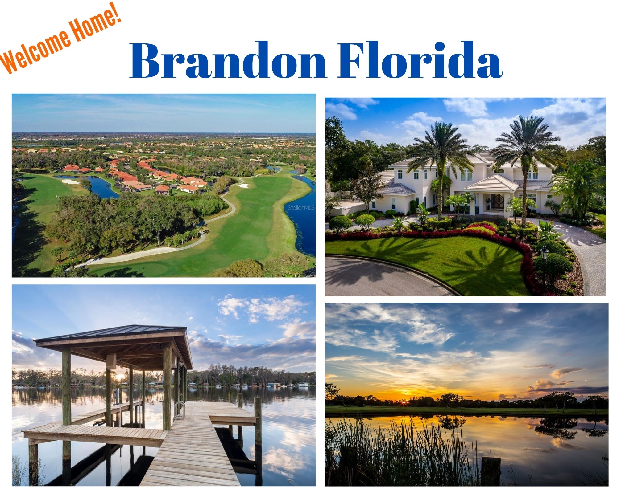 Brandon FL Homes For Sale | Brandon Florida Real Estate