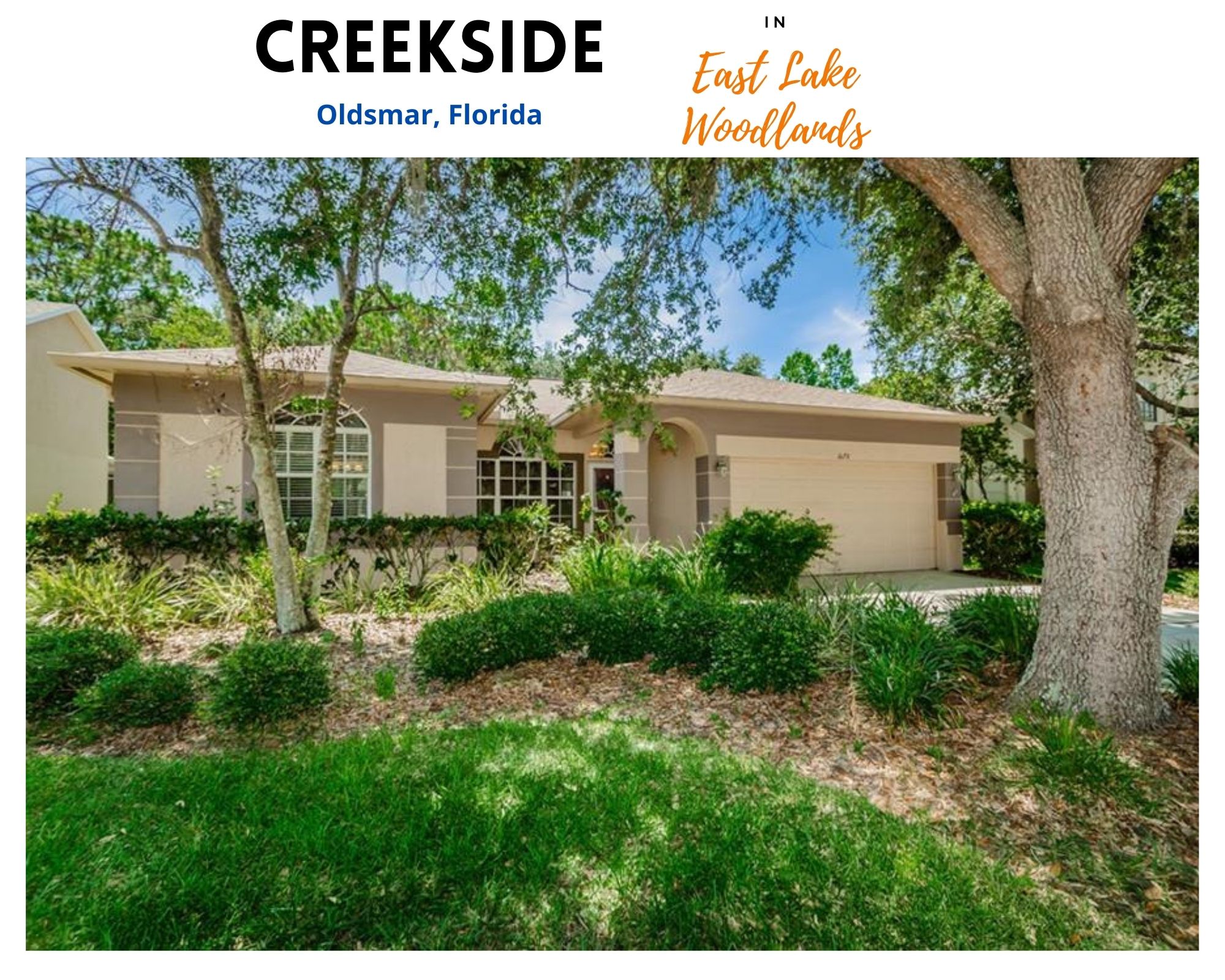 Creekside East Lake Woodlands Oldsmar FL Real Estate