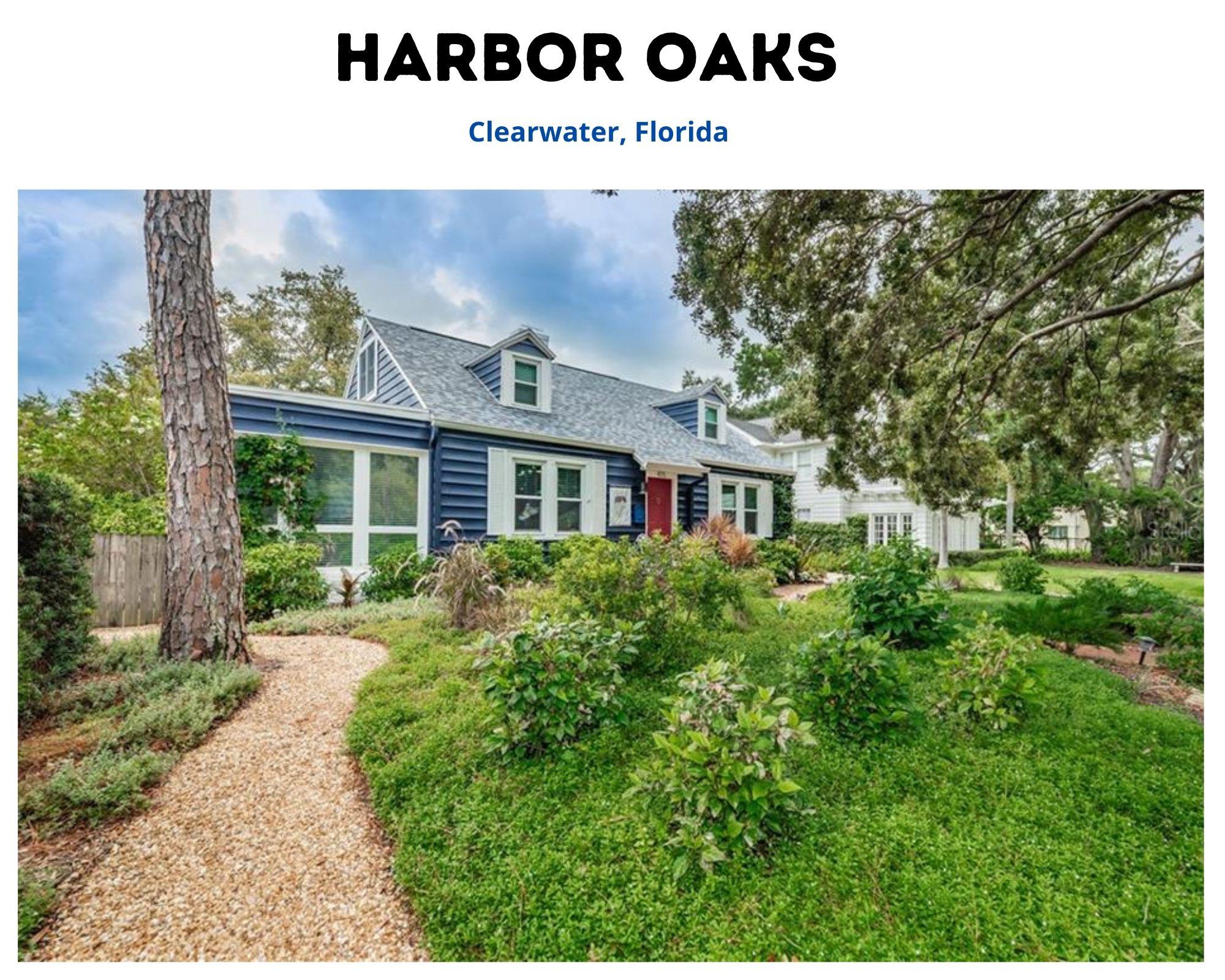 Harbor Oaks   Neighborhood Homes for Sale   Clearwater FL Real Estate
