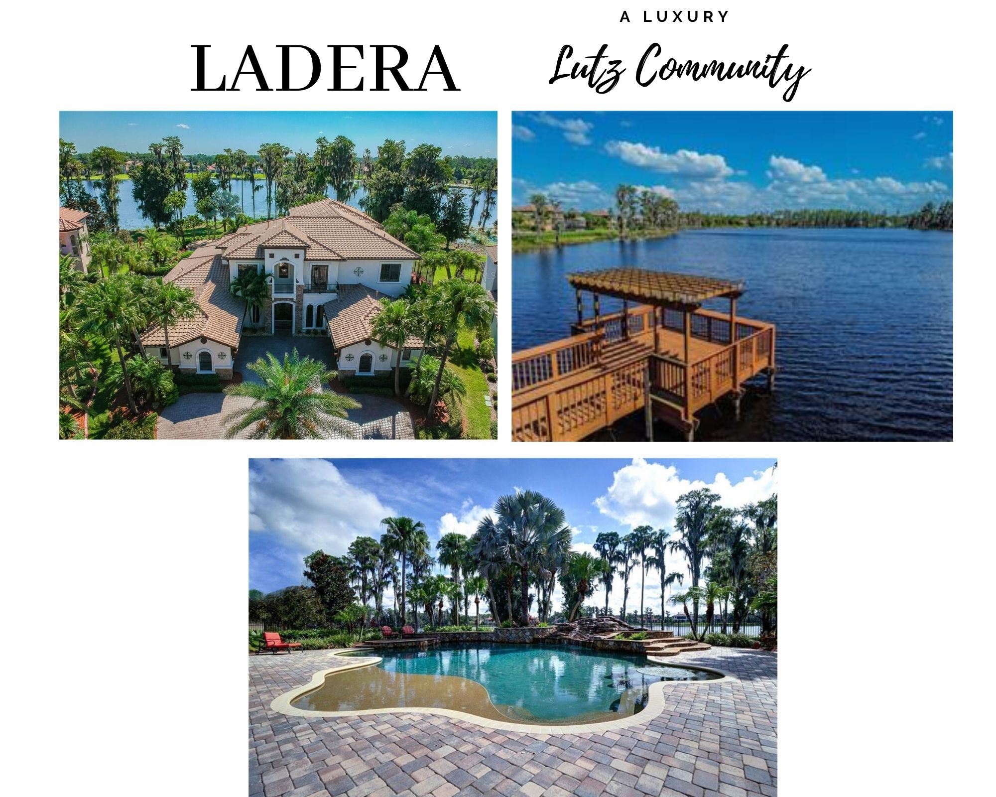 Ladera Lutz FL Real Estate Ladera Luxury Homes for Sale