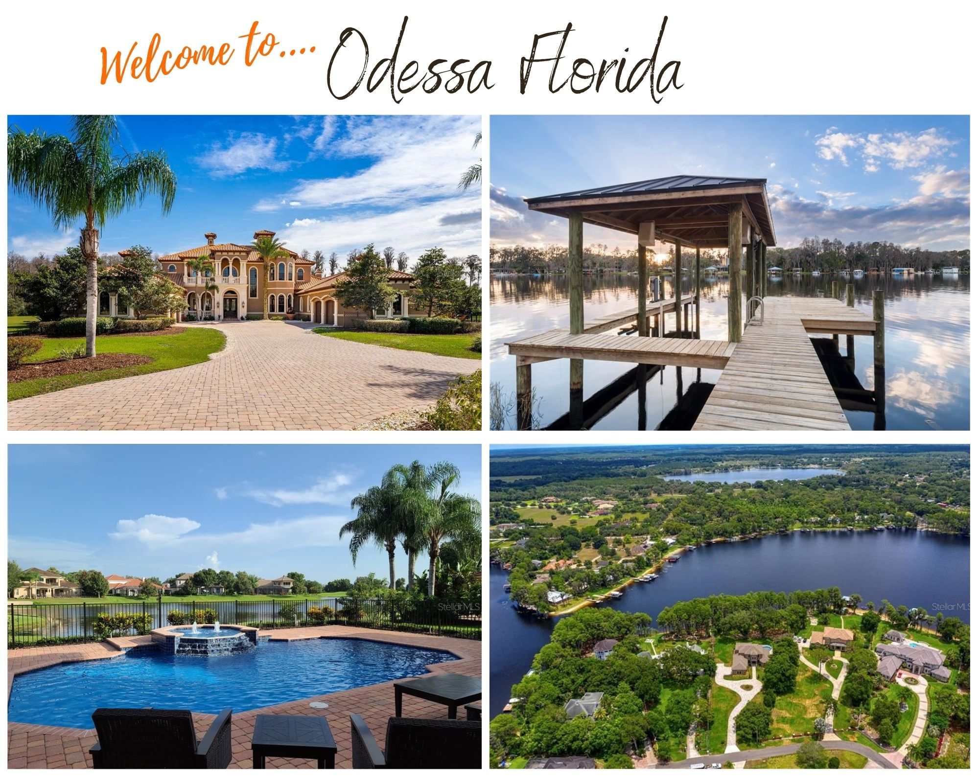 4-Bedroom Homes in Odessa FL for Sale 