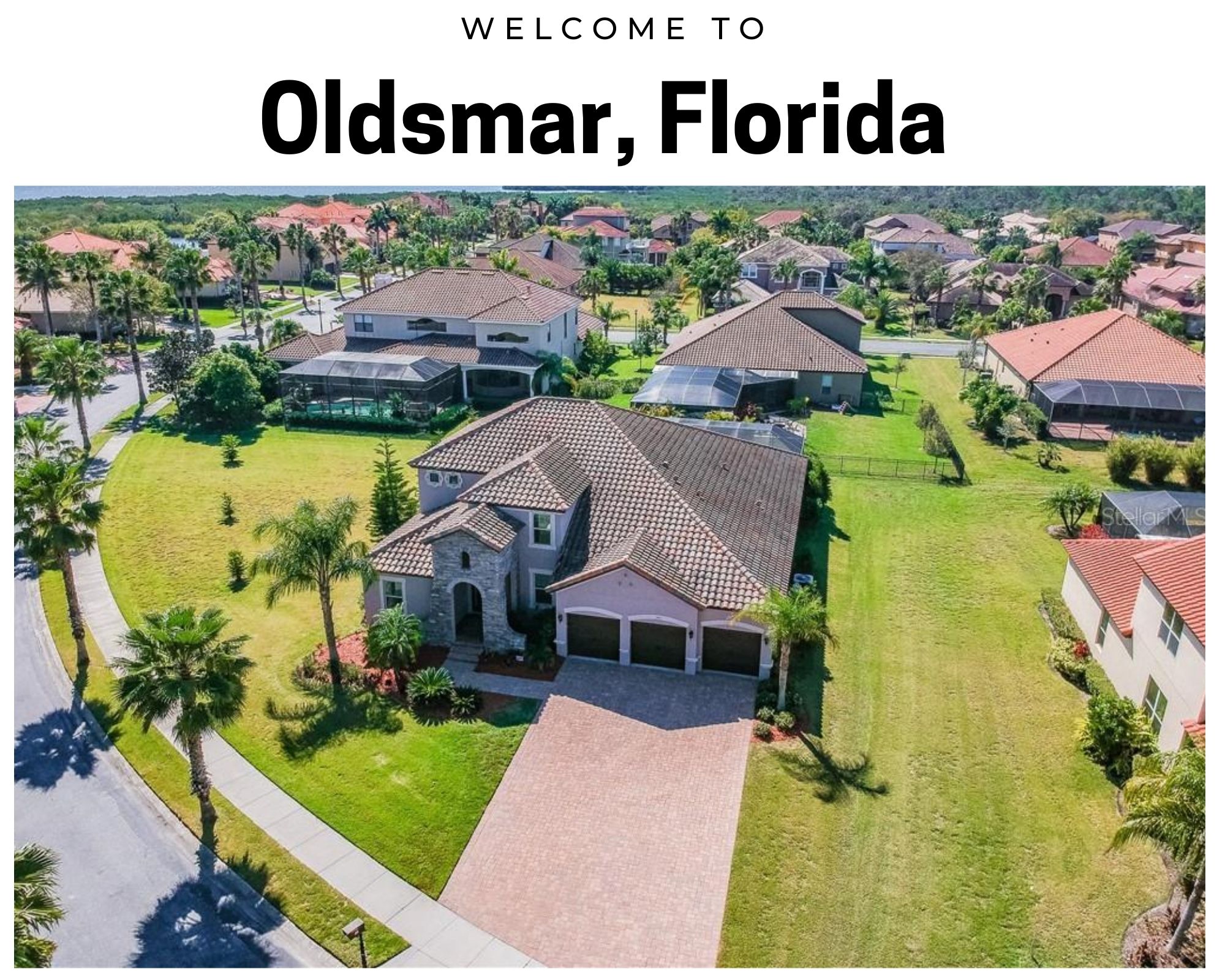 Condos In Oldsmar