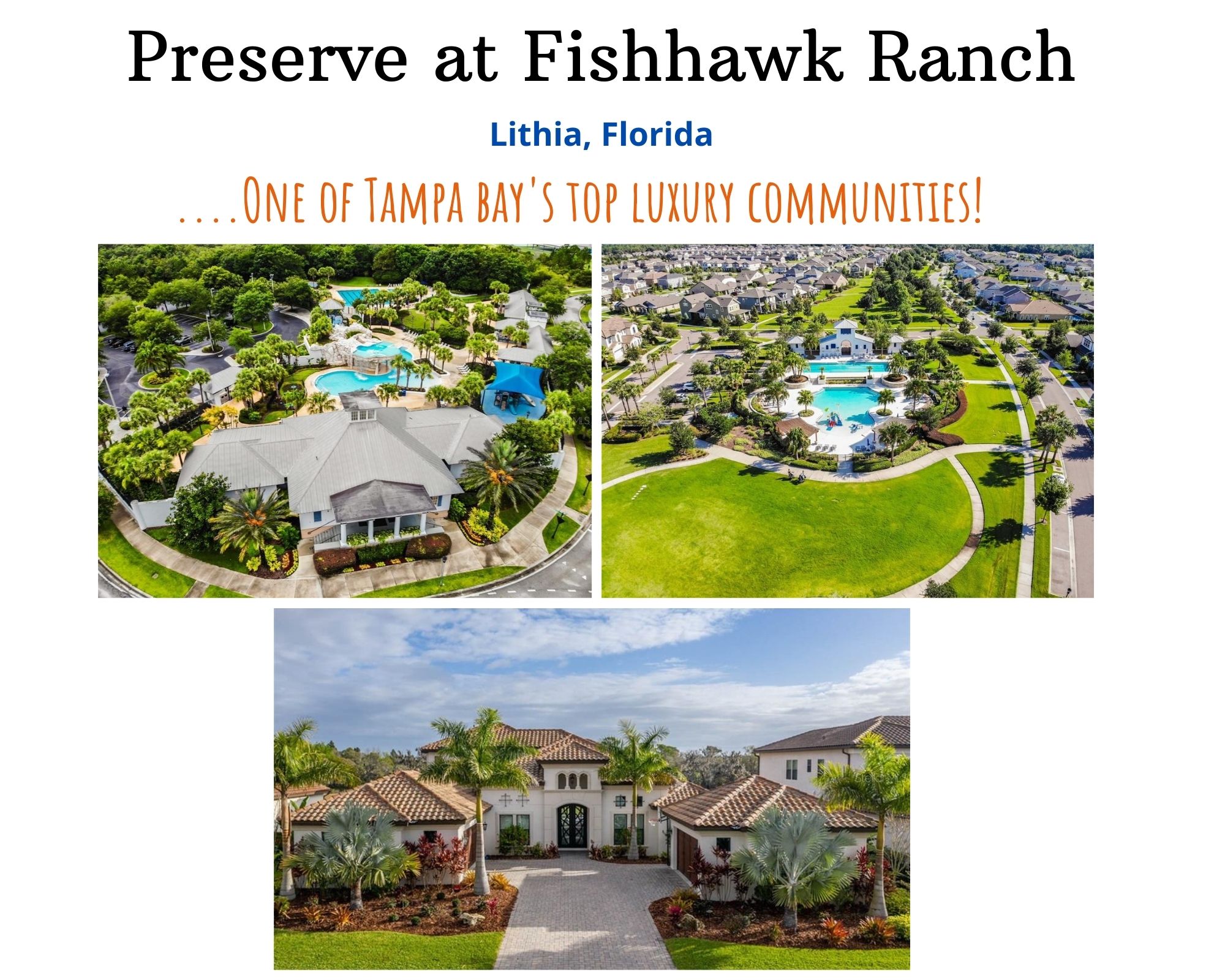 Preserve at Fishhawk Ranch Real Estate  Preserve at Fishhawk Ranch Homes  for Sale