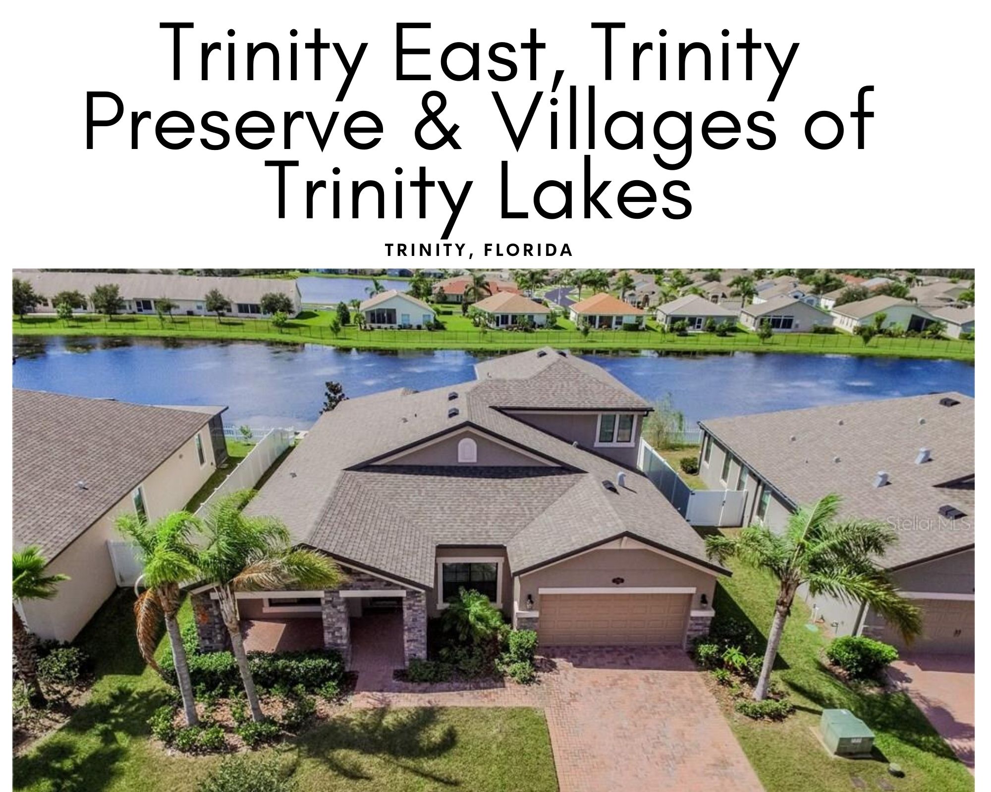 Trinity East FL Real Estate Trinity East FL Homes for Sale