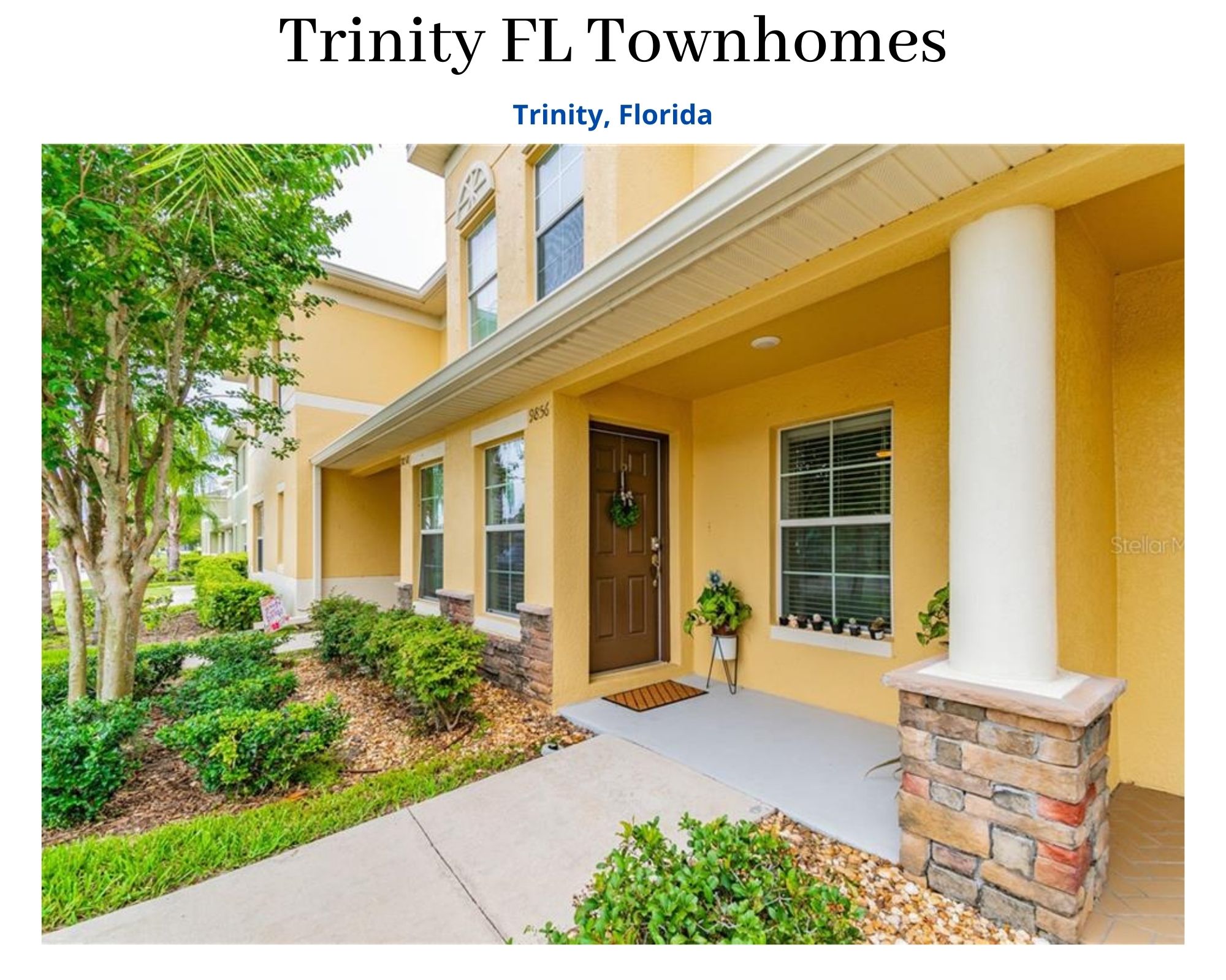 Trinity Florida Townhomes For Sale Trinity Florida Real Estate