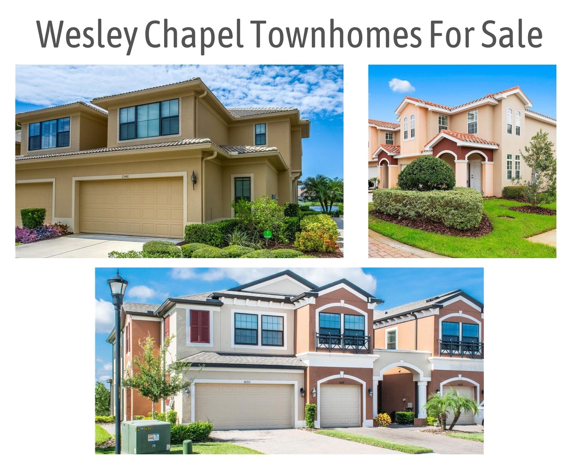 Zillow Wesley Chapel