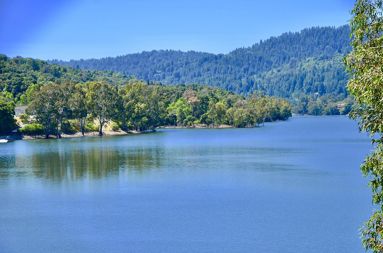 Los Gatos Creek