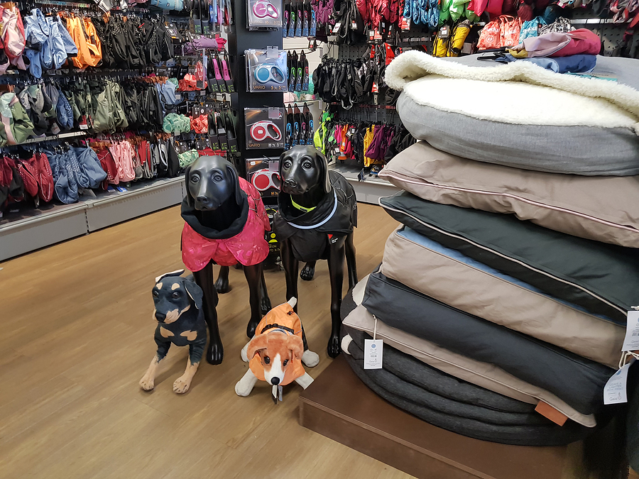 Ultimate dog outlet store