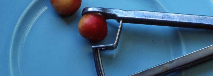 Two cherries on a blue plate with a metal pitter 