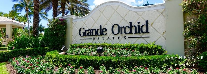 grande orchid new