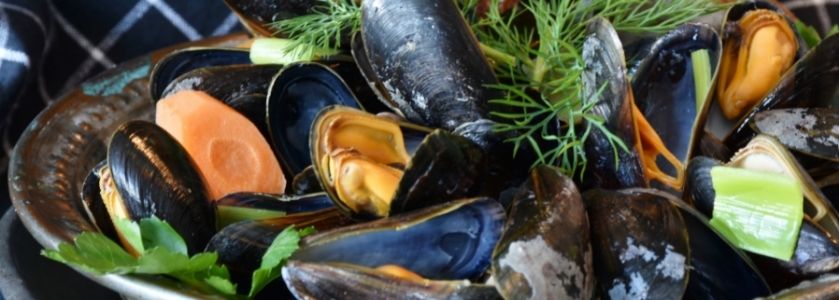steamed mussels 