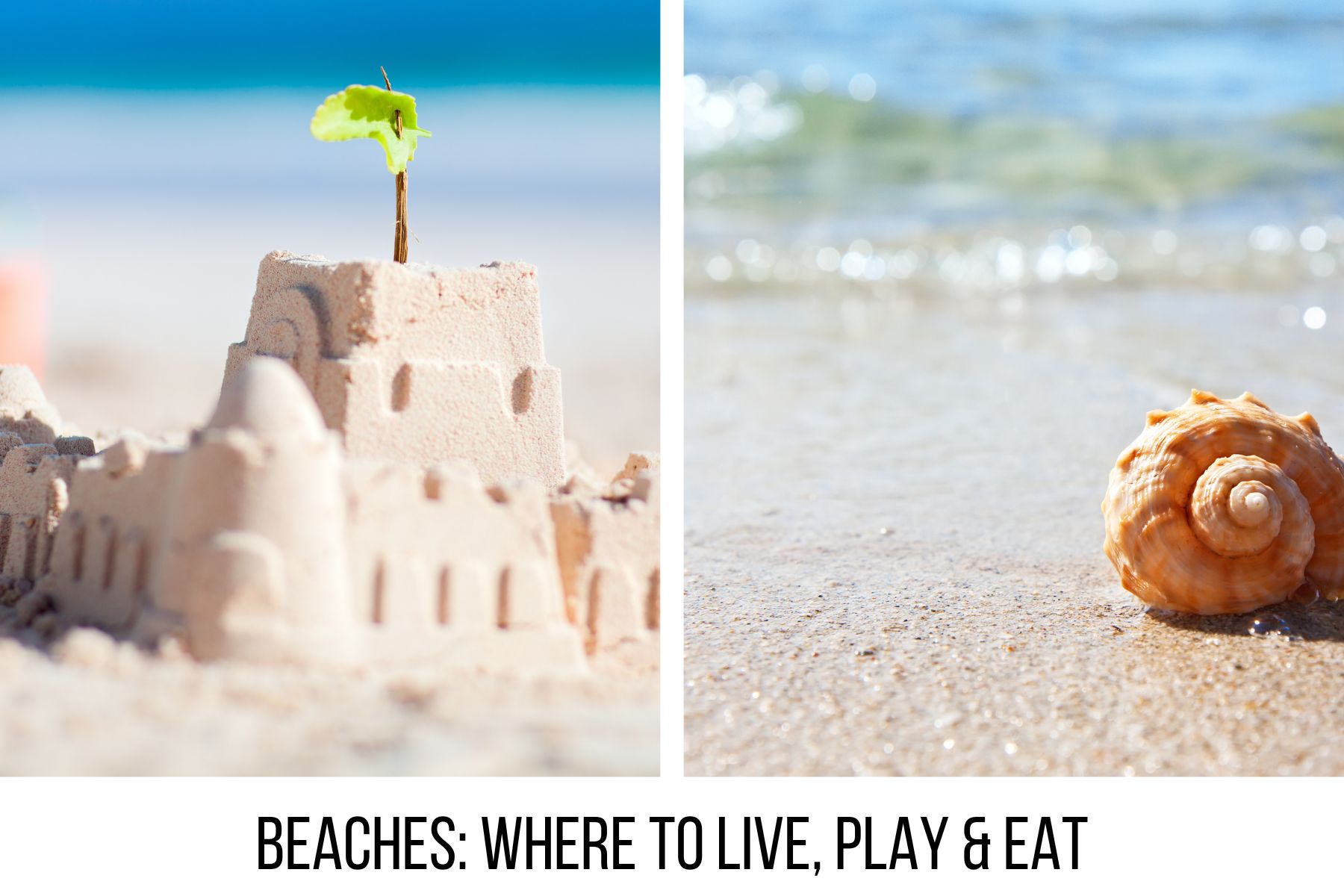 Beachside communities in Tampa