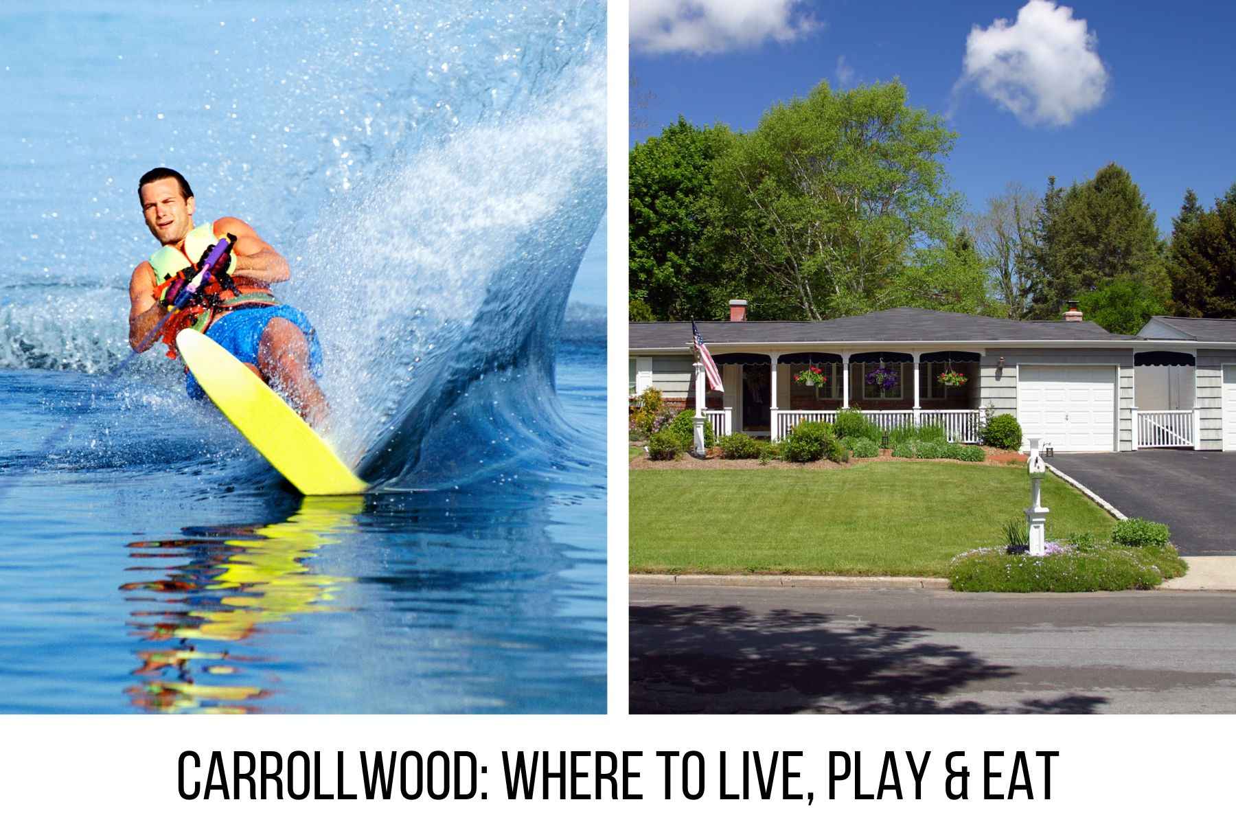 Carrollwood: Live, Play & Eat