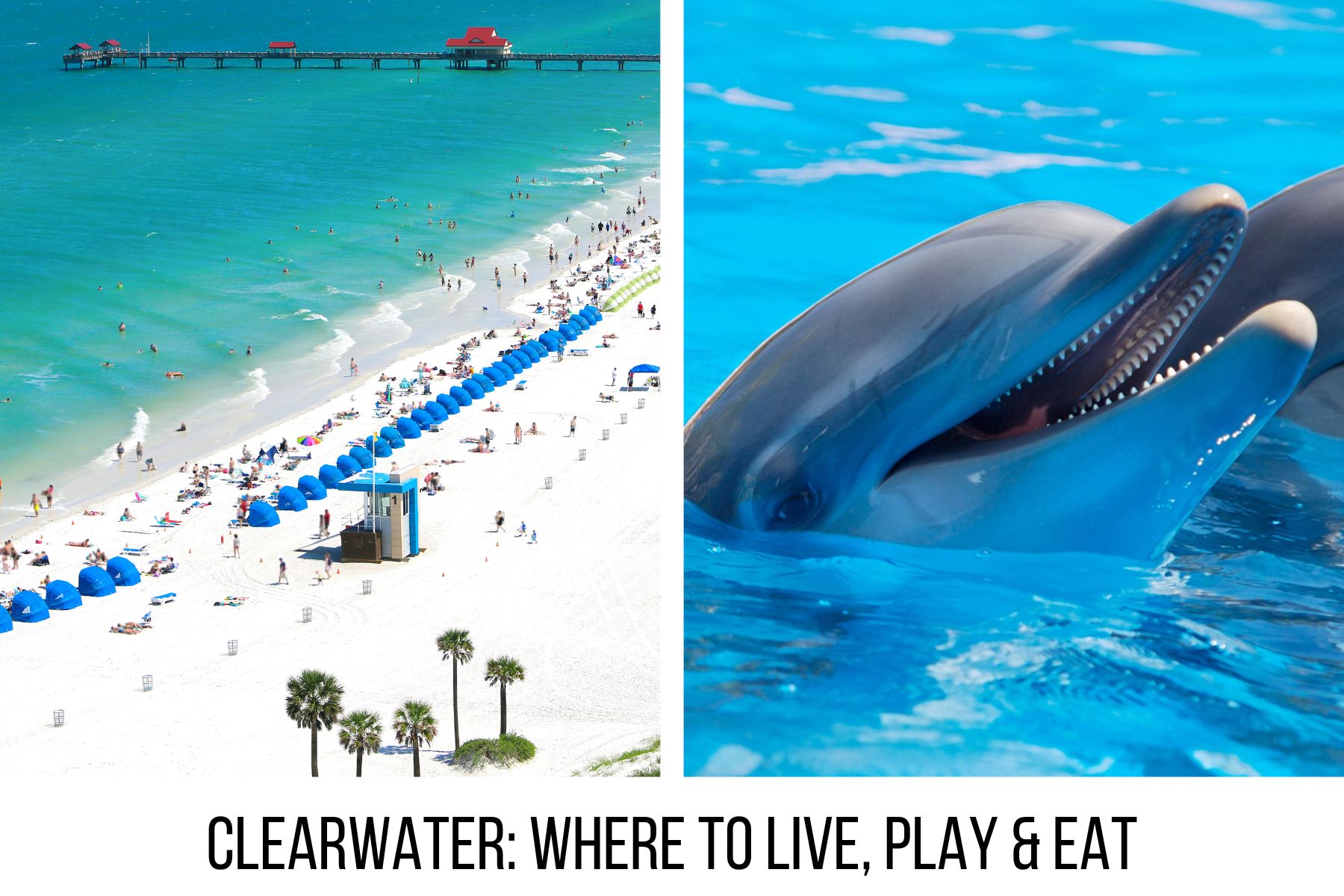 Clearwater community guide