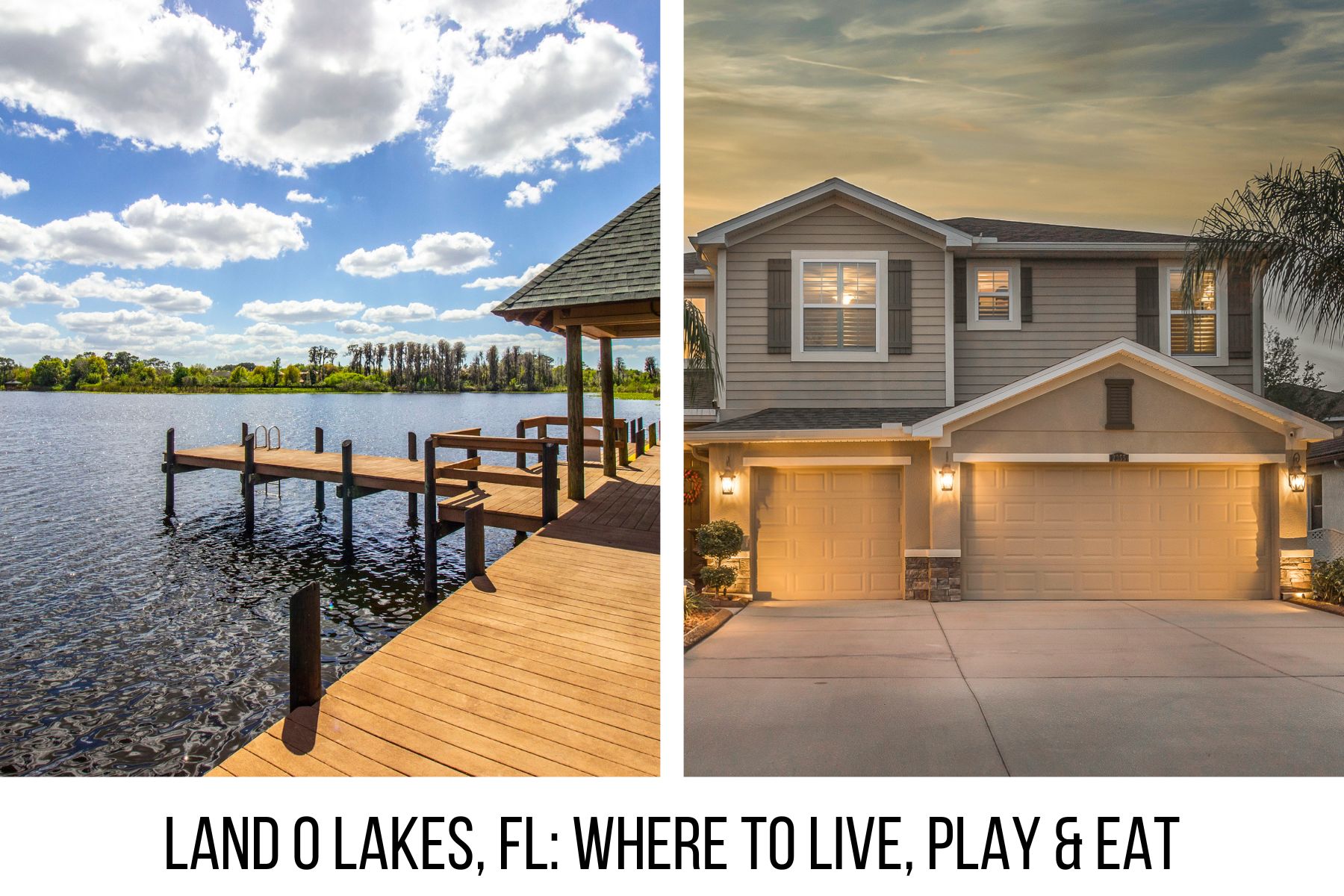Land O Lakes FL community guide