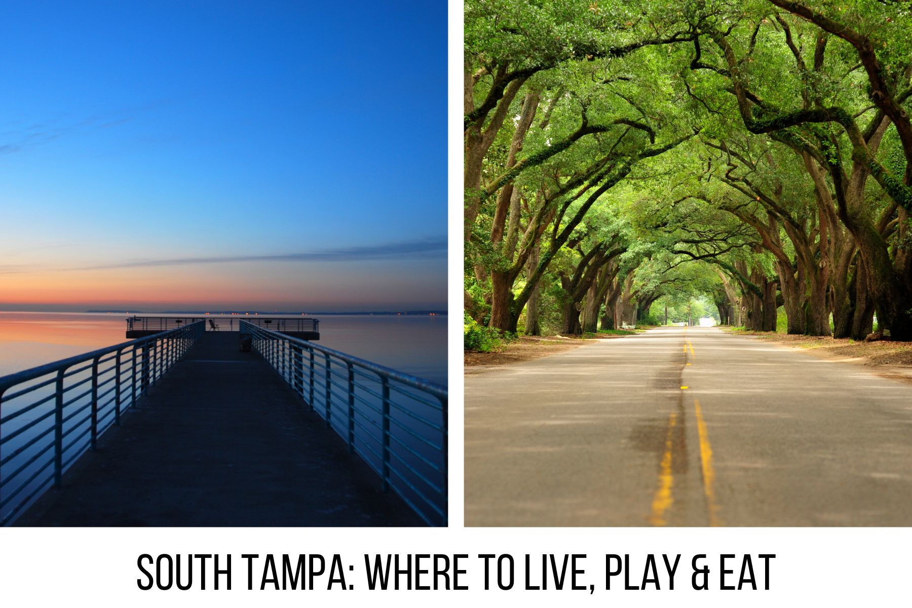 South Tampa community guide