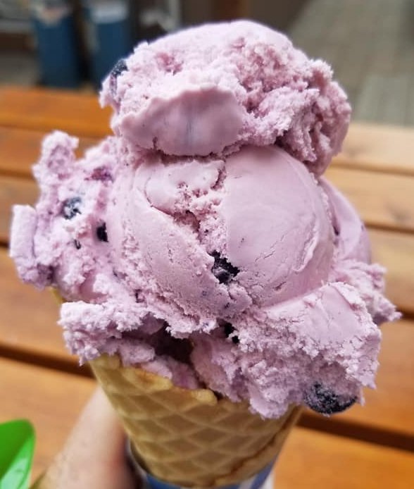 Highest-rated ice cream shops in Tampa, according to Yelp