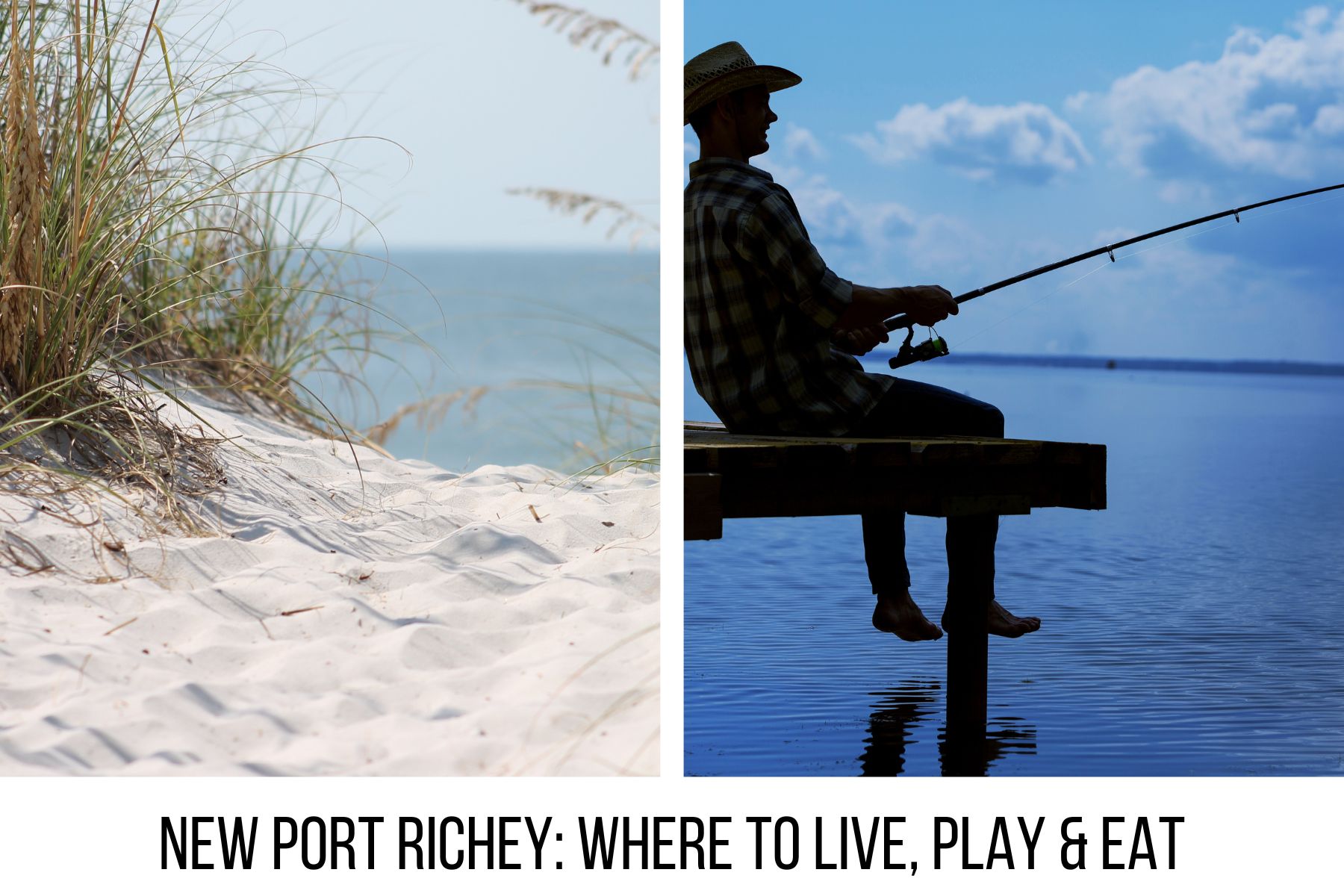 New Port Richey Community Guide