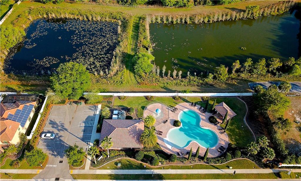 Terra Bella Land O Lakes