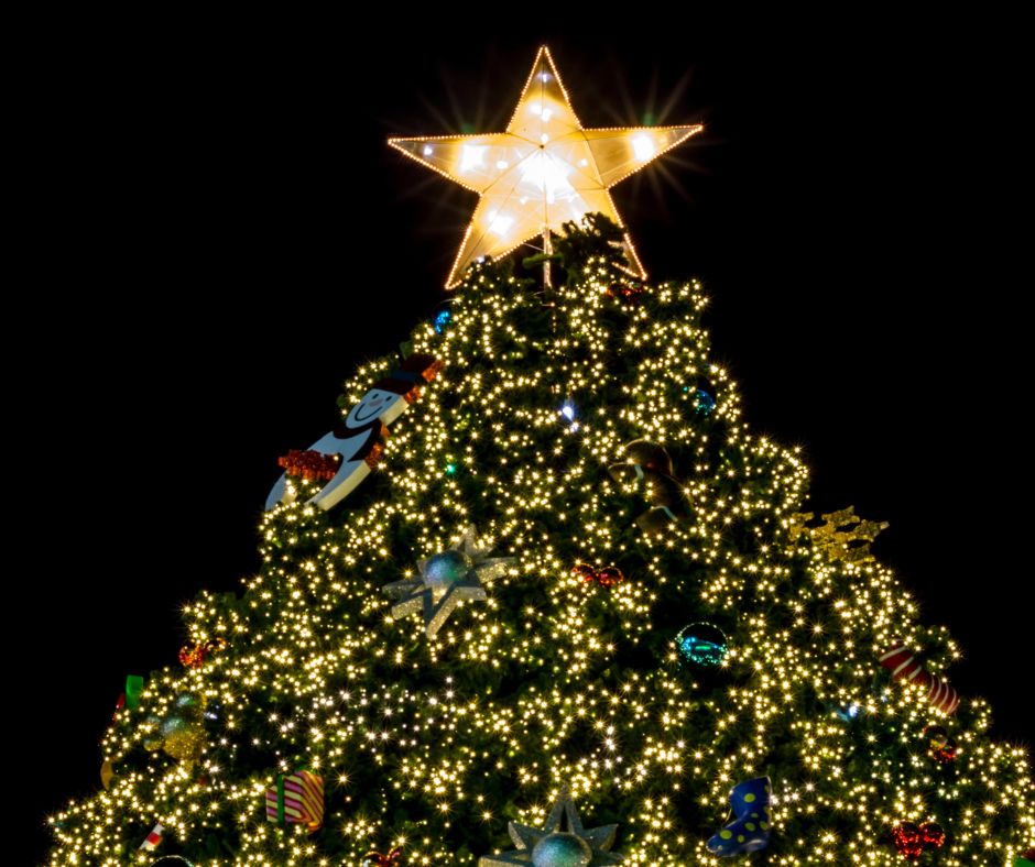 Holiday Parades and Tree Lightings in Tampa Bay