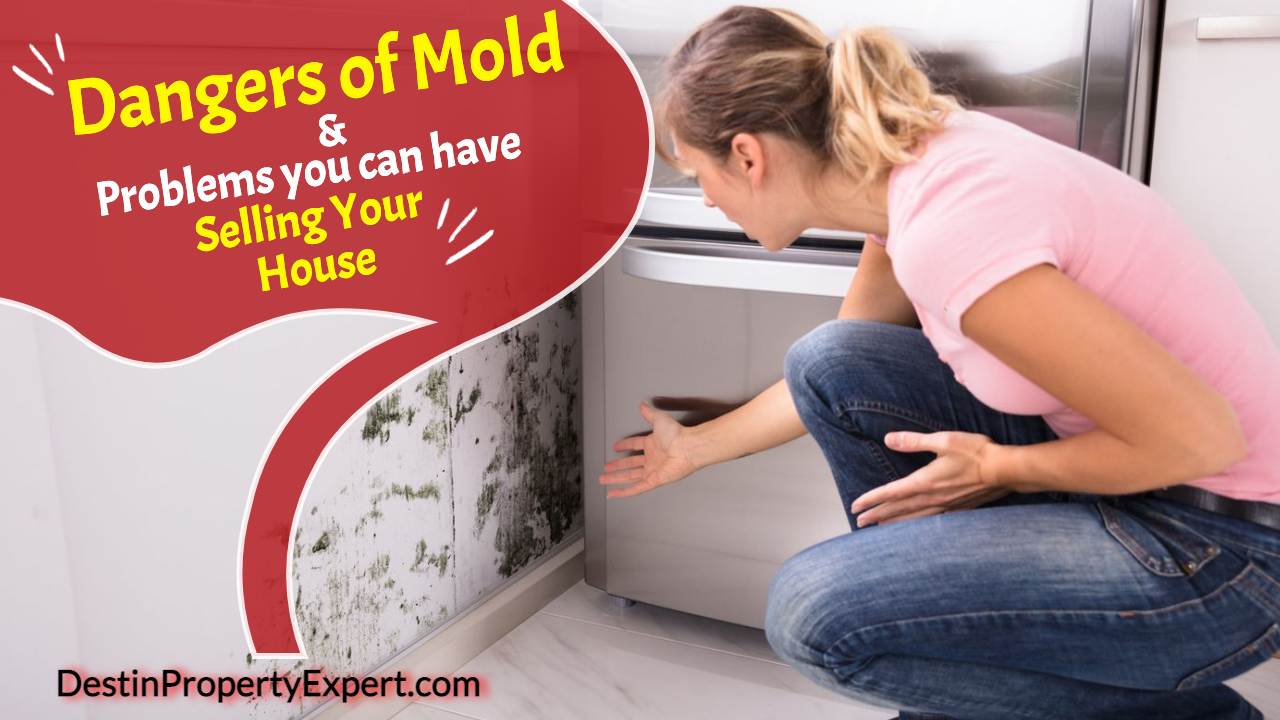 What homeowners need to know about toxic mold exposure