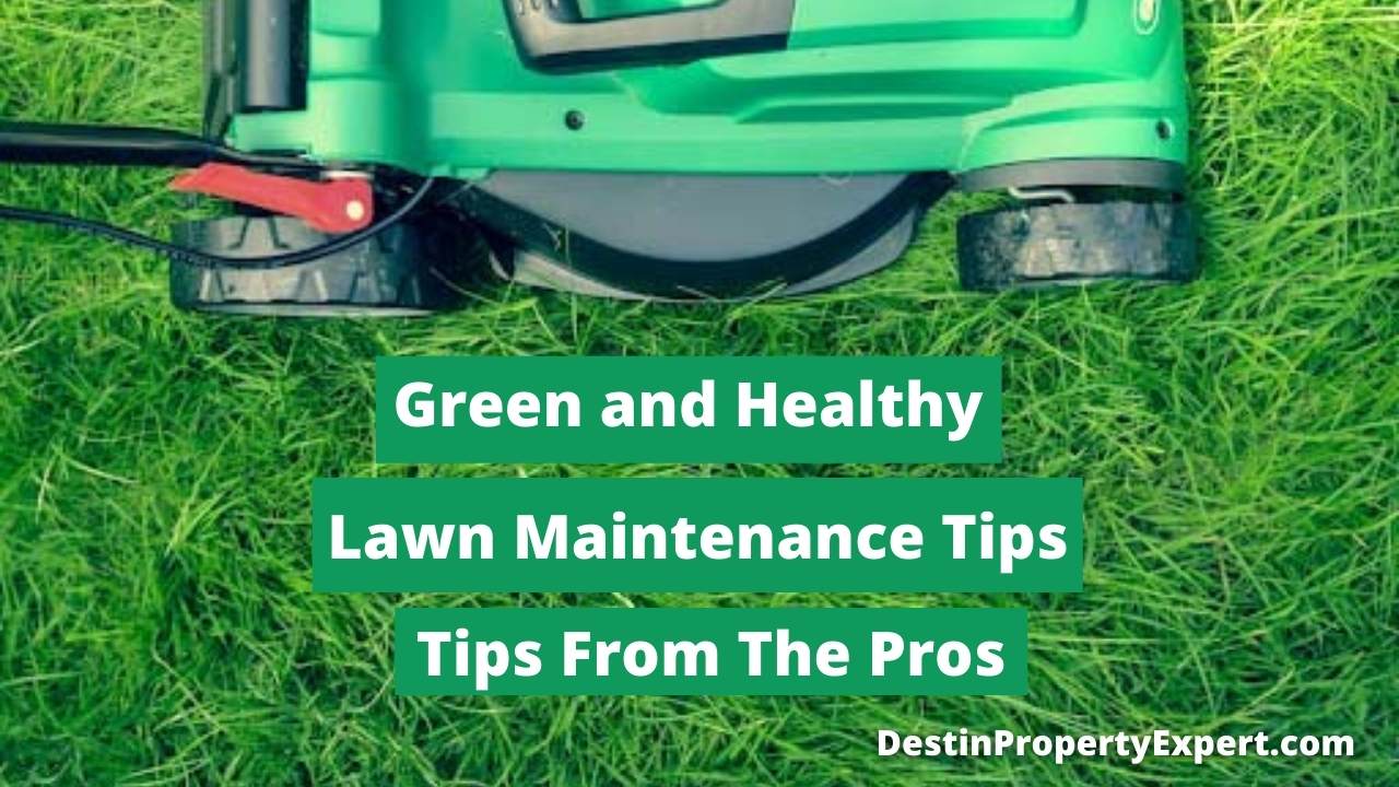Find helpful tips for lawn maintenance from pros