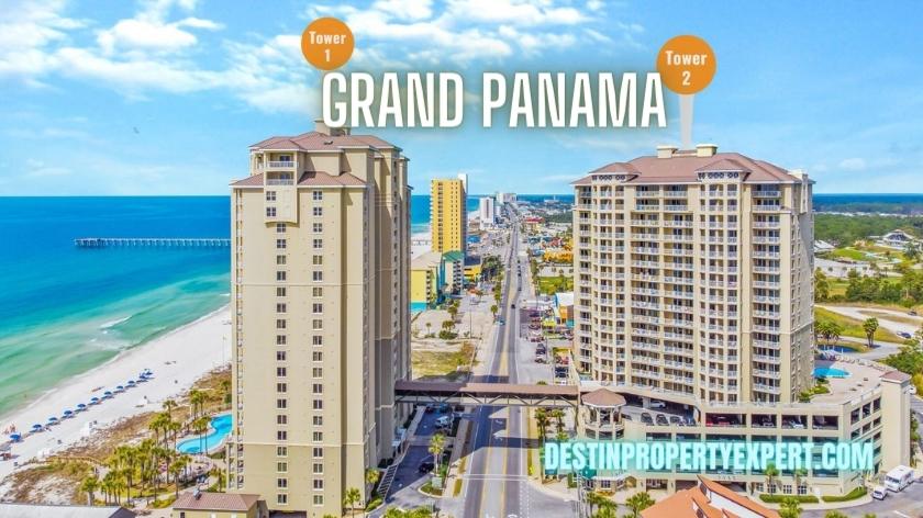 Grand Panama condors for sale
