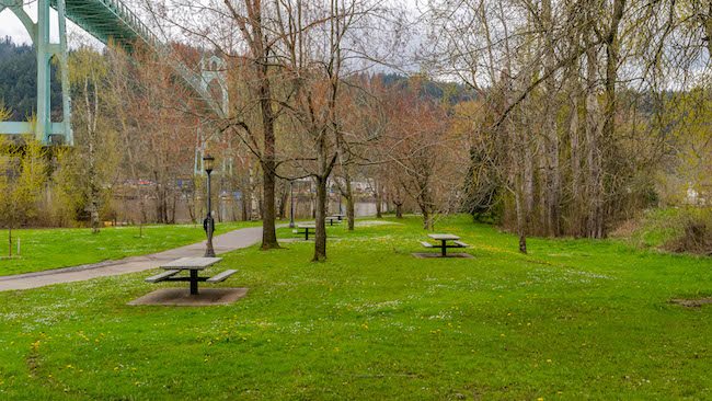 Park Benches in Cathedral Park, Portland, Oregon