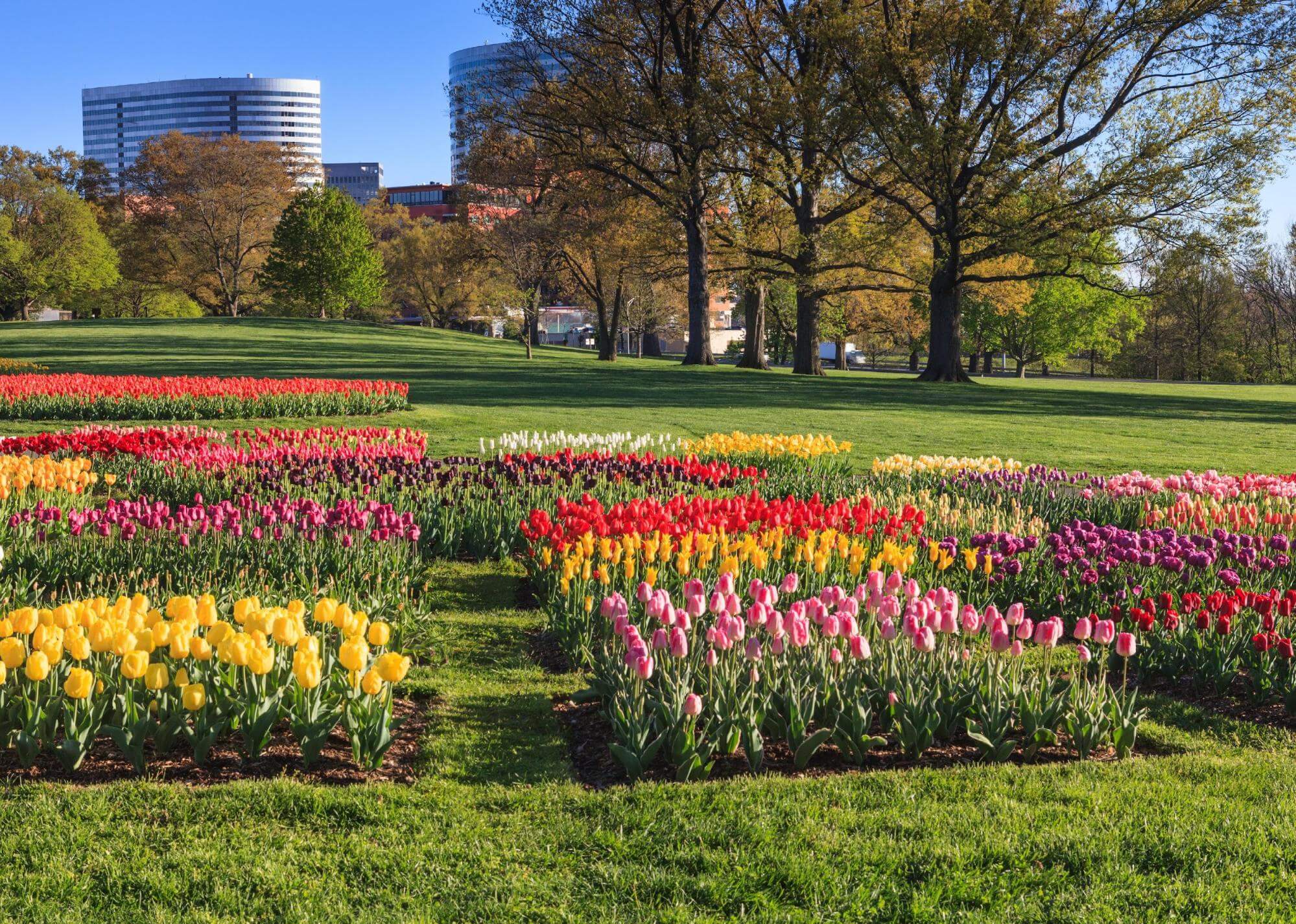 11 cities that have the most public outdoor space