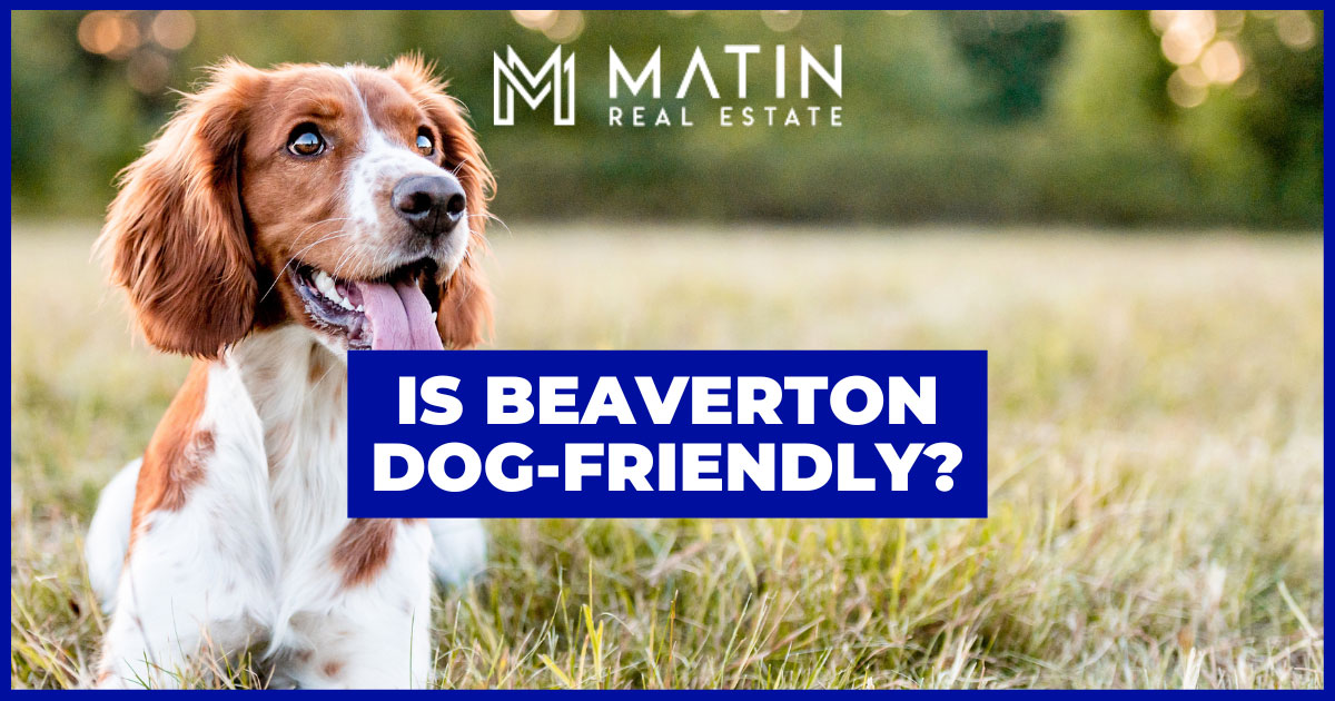 5 Best Dog Parks in Beaverton & Things to Do With Your Dog