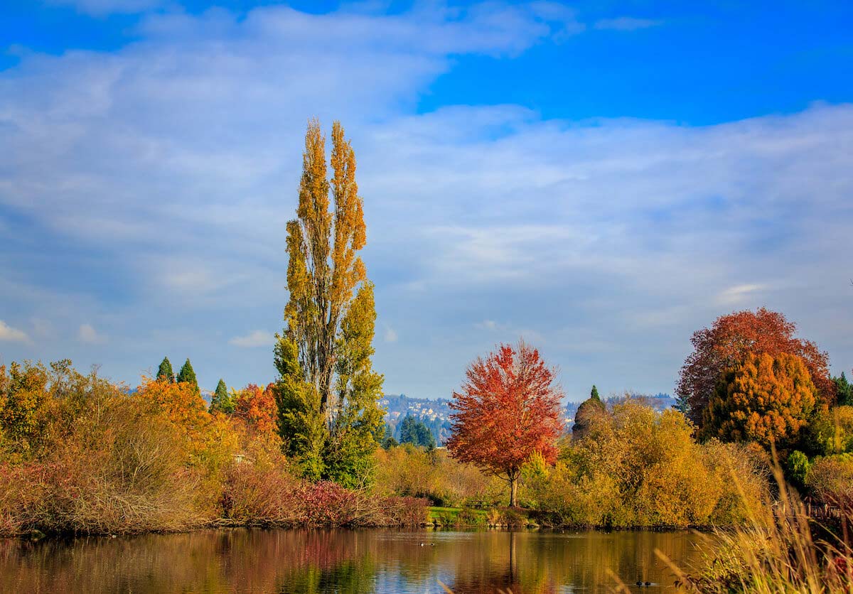 Best Parks in Beaverton: Commonwealth Lake Park