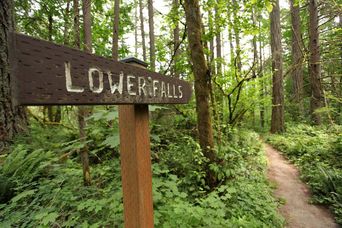Best Trails in Camas: Lacamas Lake Park