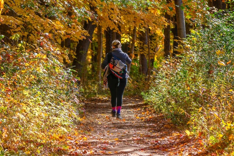 5 Best Parks in Tigard: Playgrounds & Trails Near You