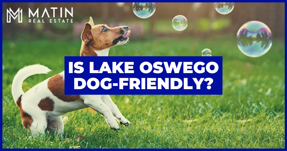 Things to Do With Dogs in Lake Oswego, OR
