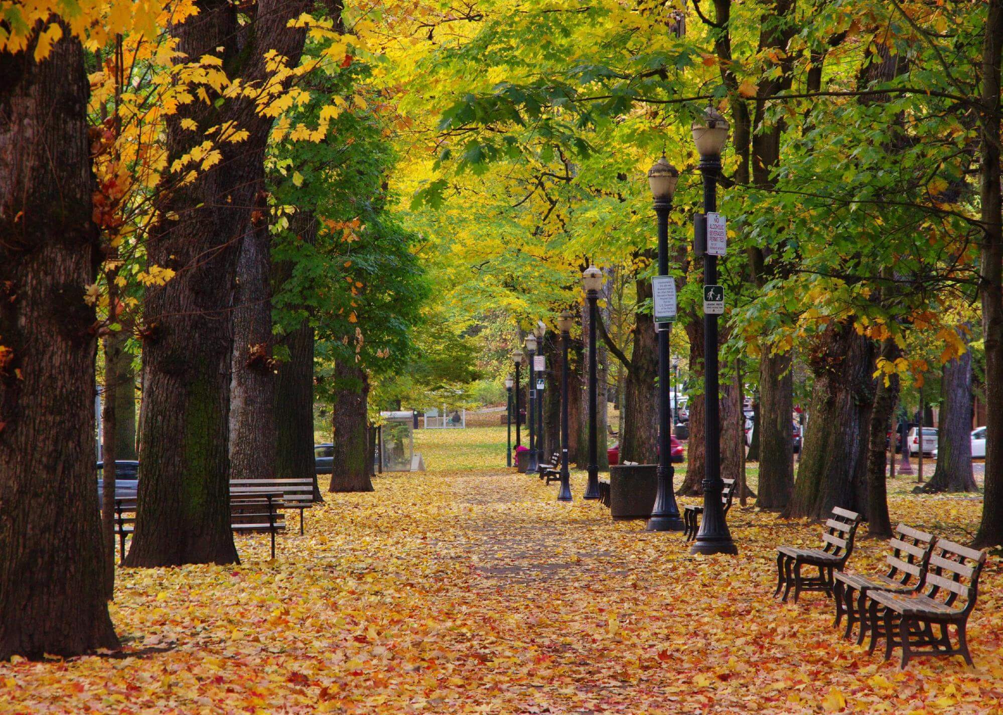 #11. Portland, Oregon A greenery pathway with benches along the SW Park Ave, Portland.