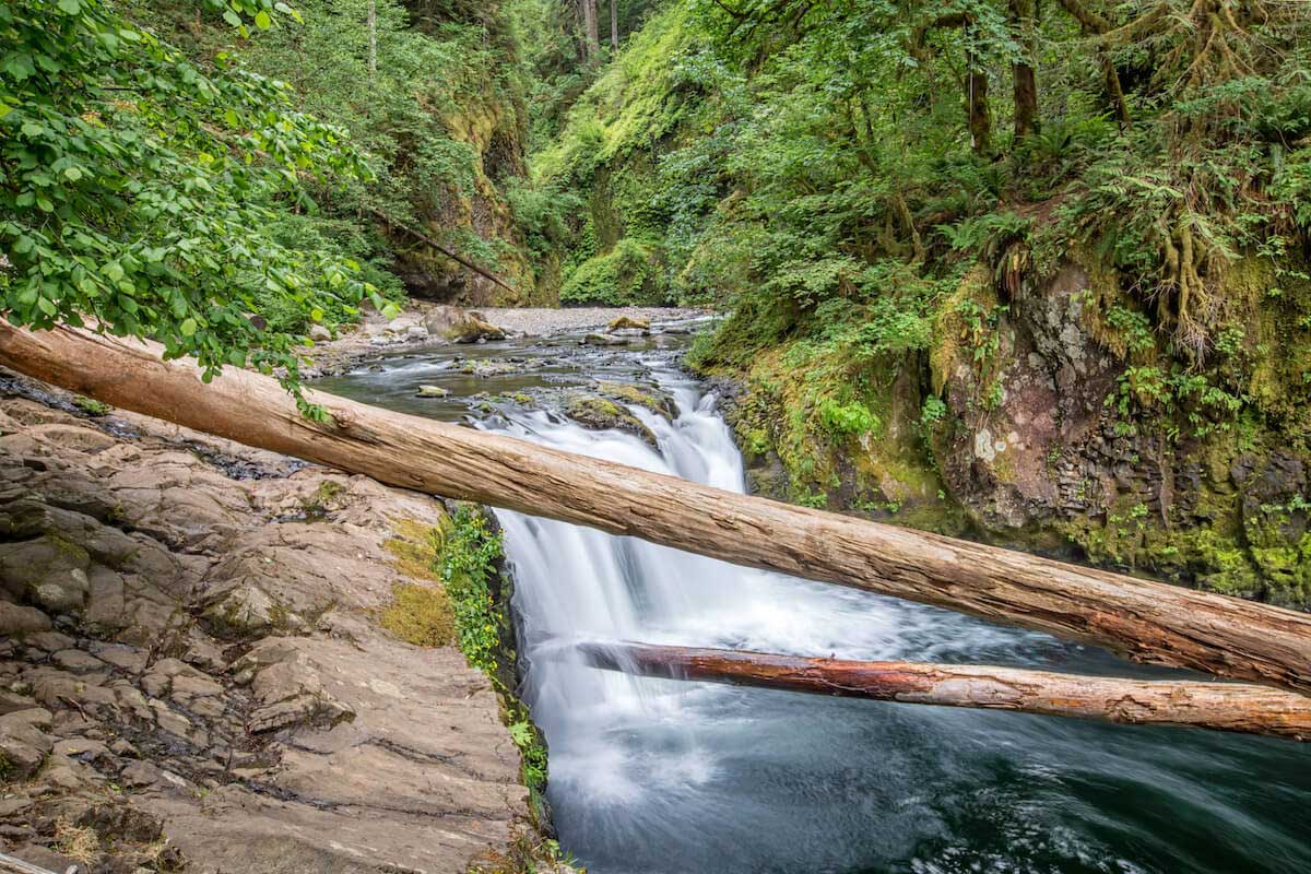 10 Best Hiking Trails Around Portland - Portland's Most Popular Hiking  Spots – Go Guides