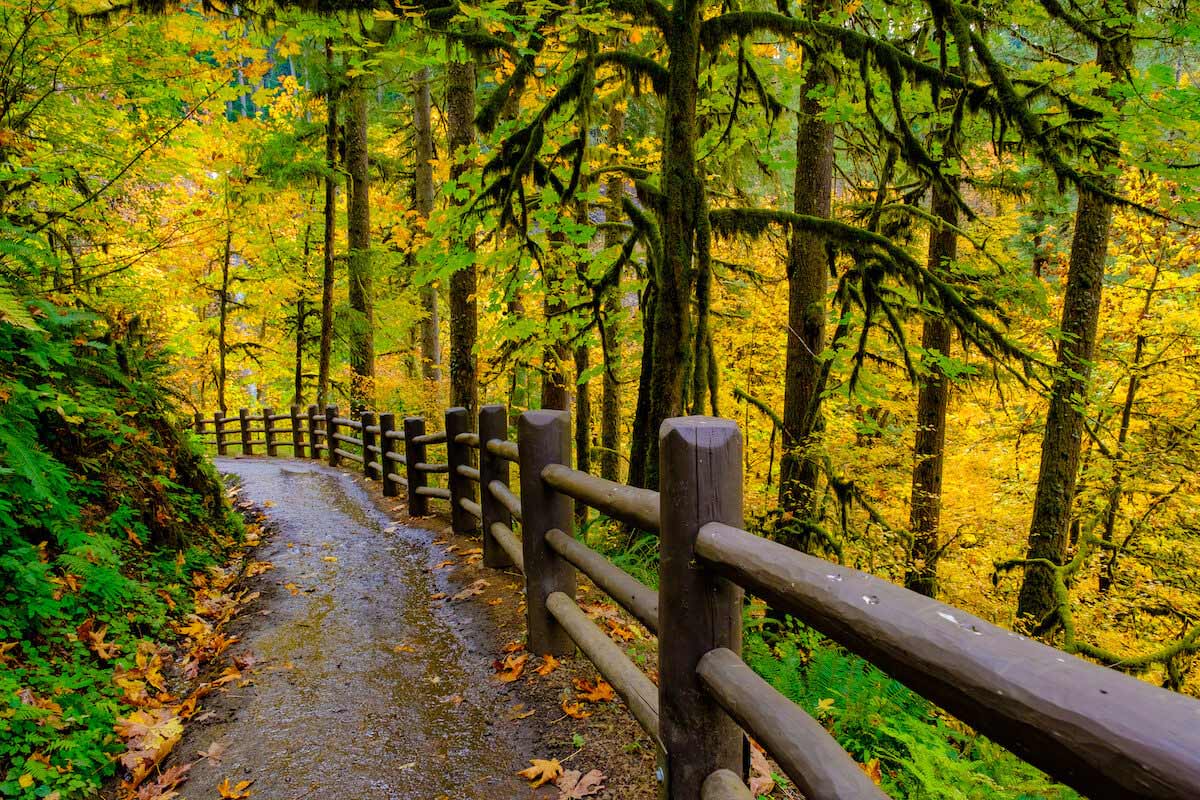 Trail of Ten Falls in Portland Oregon